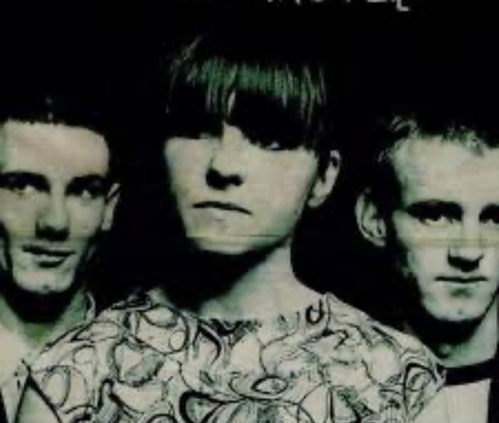 THE NOT SO YOUNG MARBLE&nbsp;GIANTS