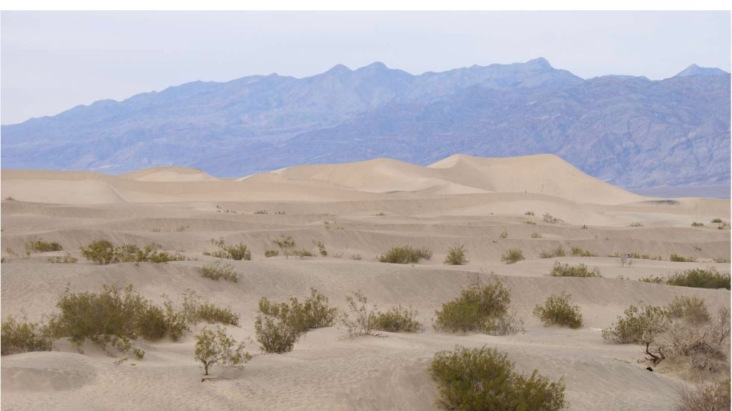 RAVE ON/ NEVER&nbsp;STOP