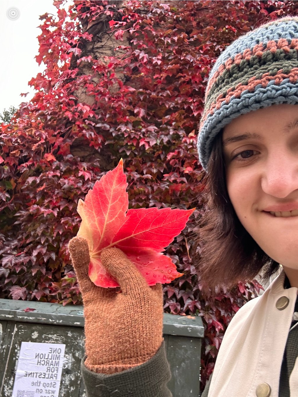 BEEZER BEATS (Episode&nbsp;1)