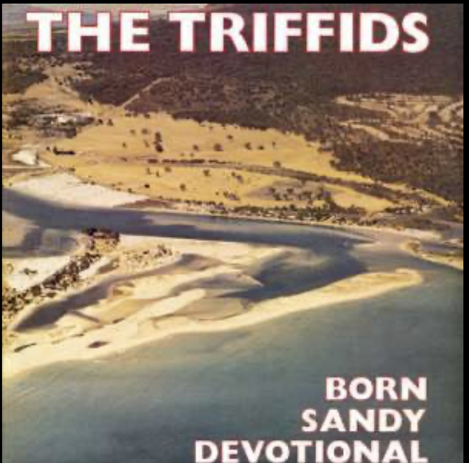 BORN SANDY DEVOTIONAL
