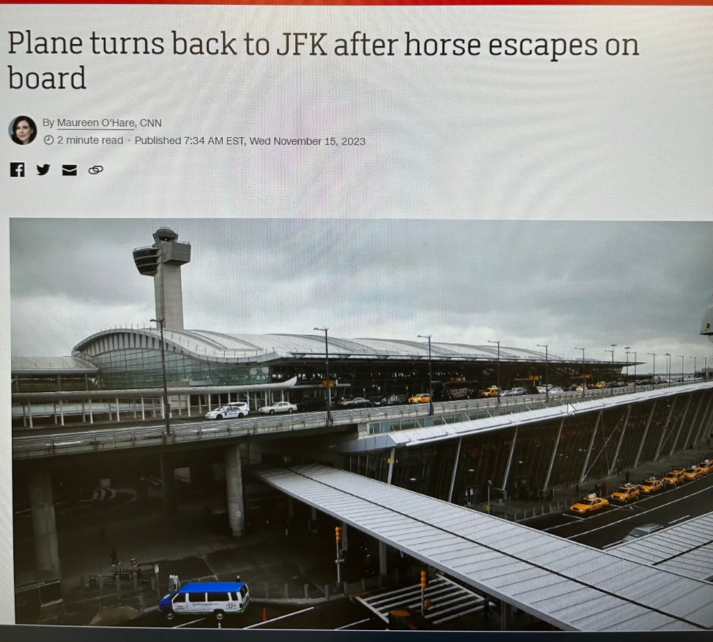 You Can’t Make This Up…  “Snakes On A Plane”&nbsp;Sequel