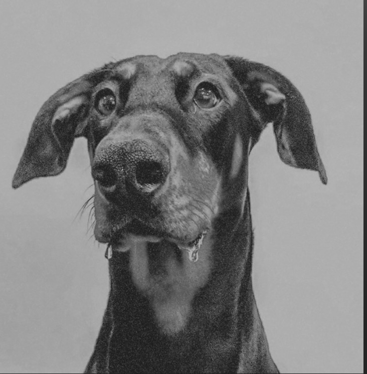 20 SONGS FOR 20 DAYS               (2/2 The second&nbsp;10)