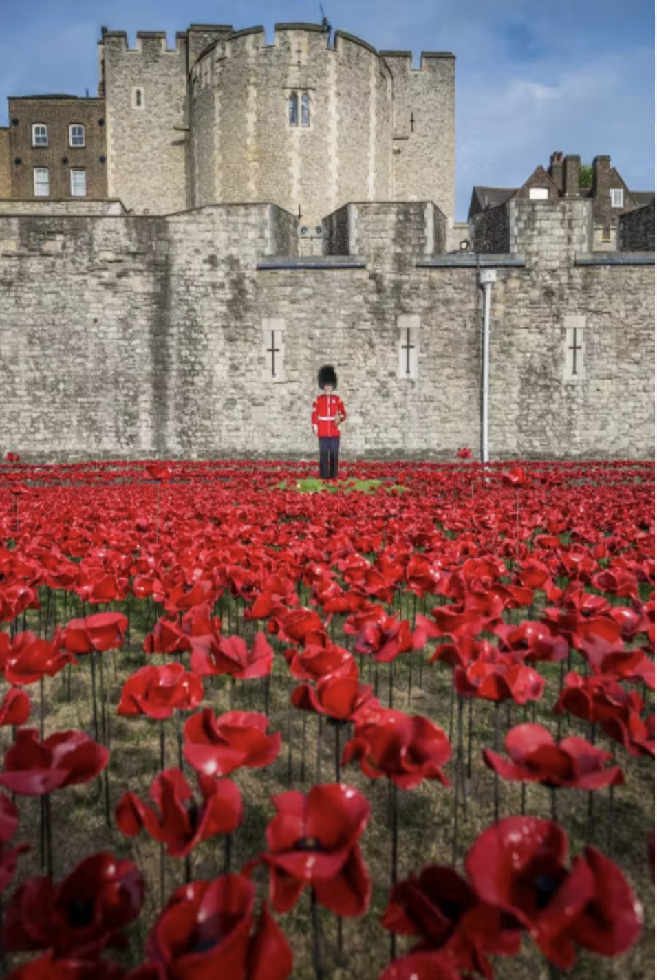 REMEMBRANCE DAY 2024