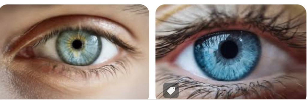 REX FESTIVE 15 (Episode&nbsp;14)