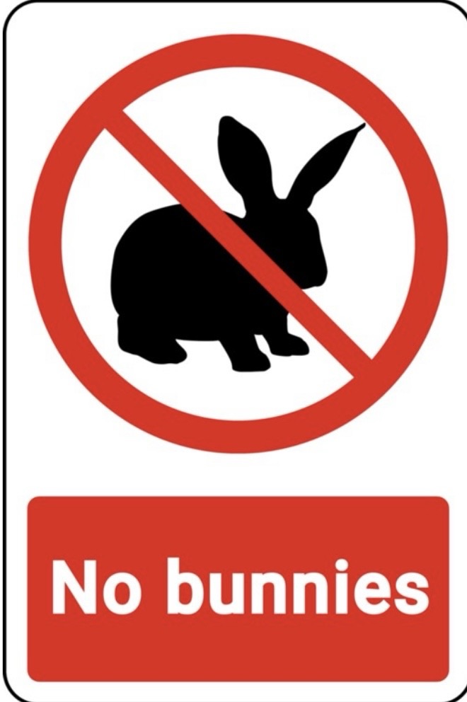 NO BAD BUNNIES&nbsp;HERE!